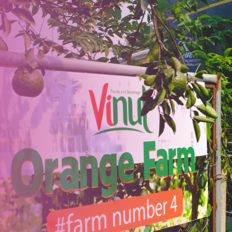nước ép trái cây, nước ép, vinut