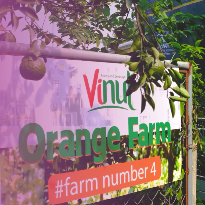 nước ép trái cây, nước ép, vinut
