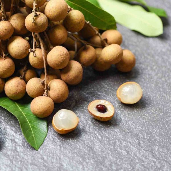 Trái cây Việt Nam Vinut nhãn