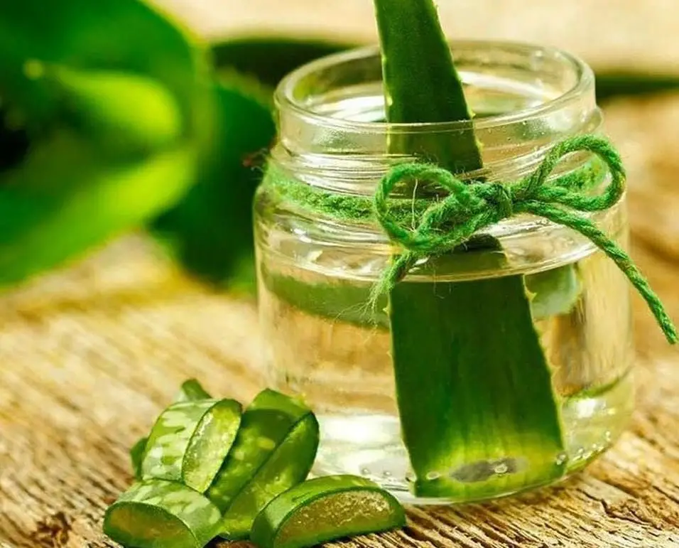 Lợi ích và cách làm nước ép nha đam kết hợp trái cây
