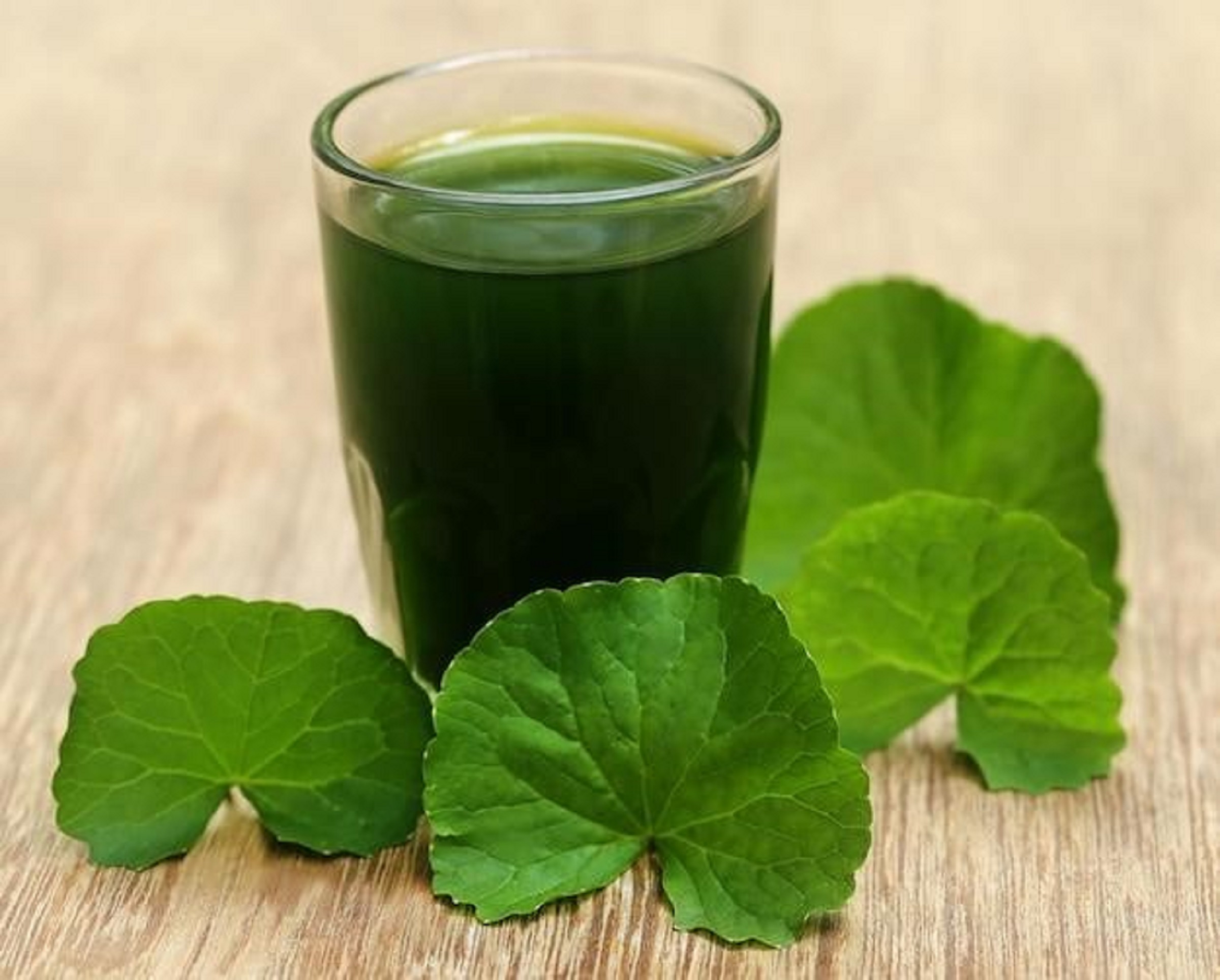 Vinut nước ép rau má tốt cho sức khỏe