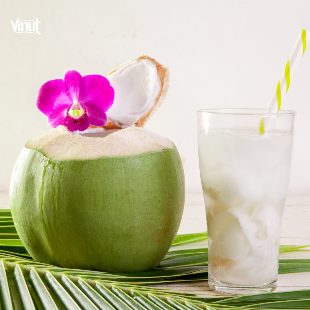 Vinut_Nước dừa