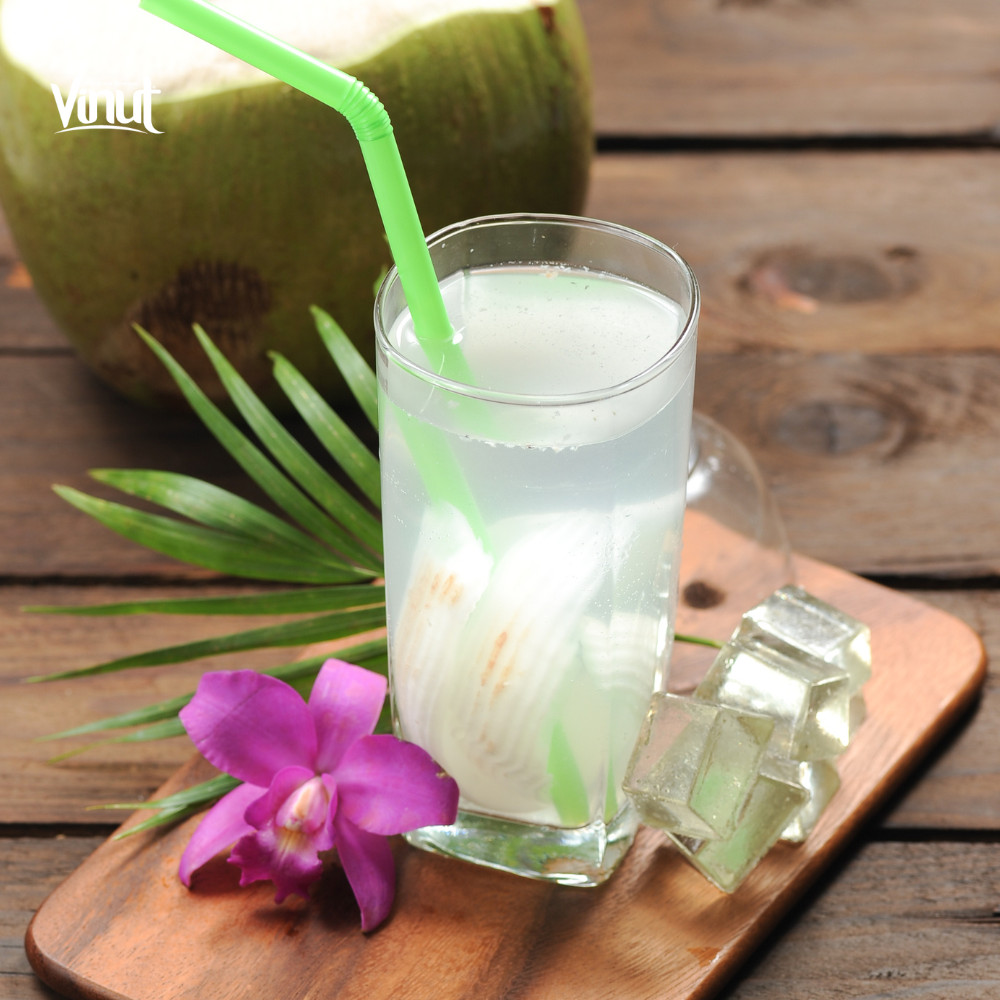 Vinut_nước dừa