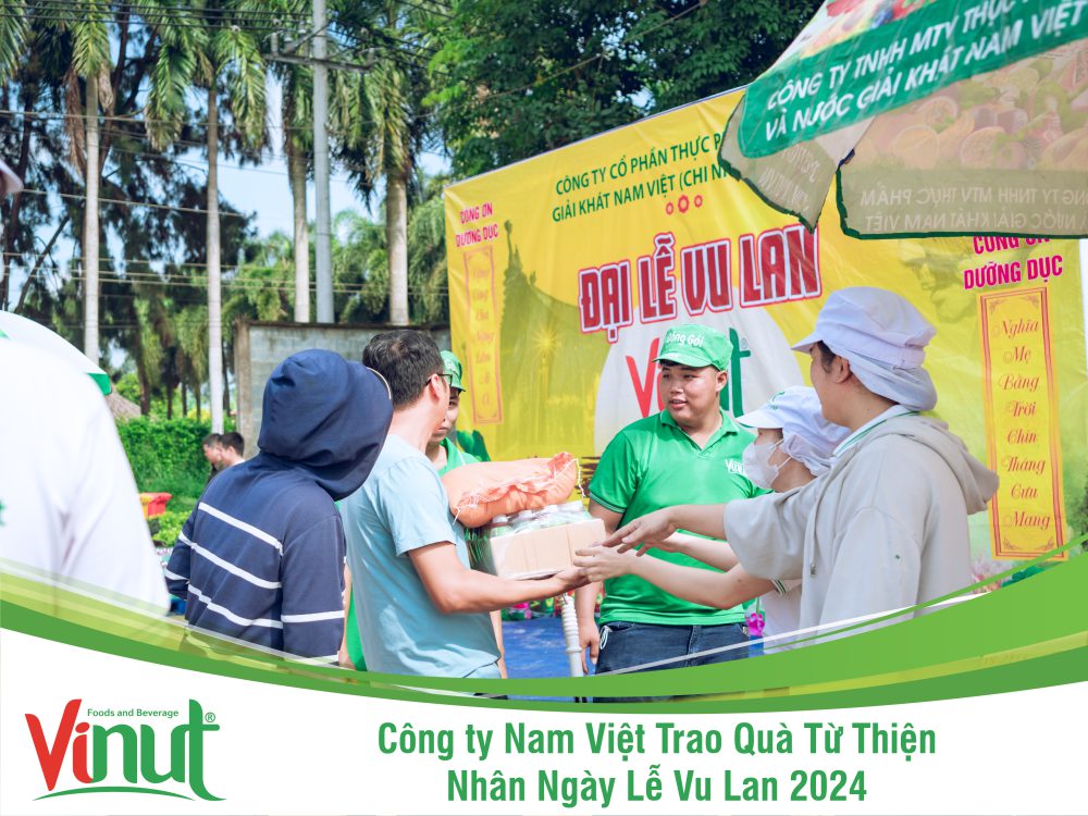 vinut, công ty nam việt