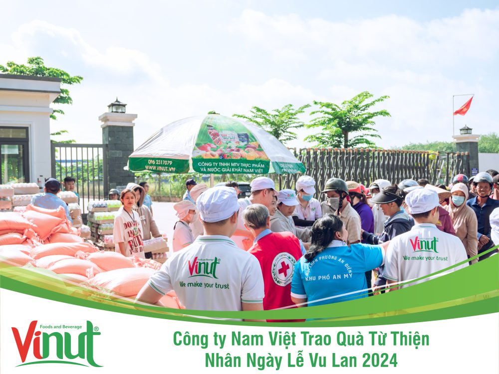 vinut, công ty nam việt