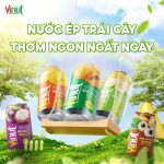 nước ép đóng lon, vinut