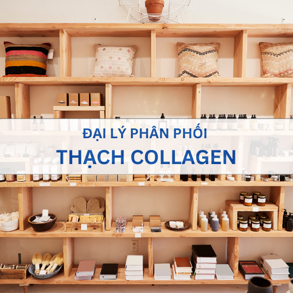 đại lý phân phối thạch collagen, thạch collagen