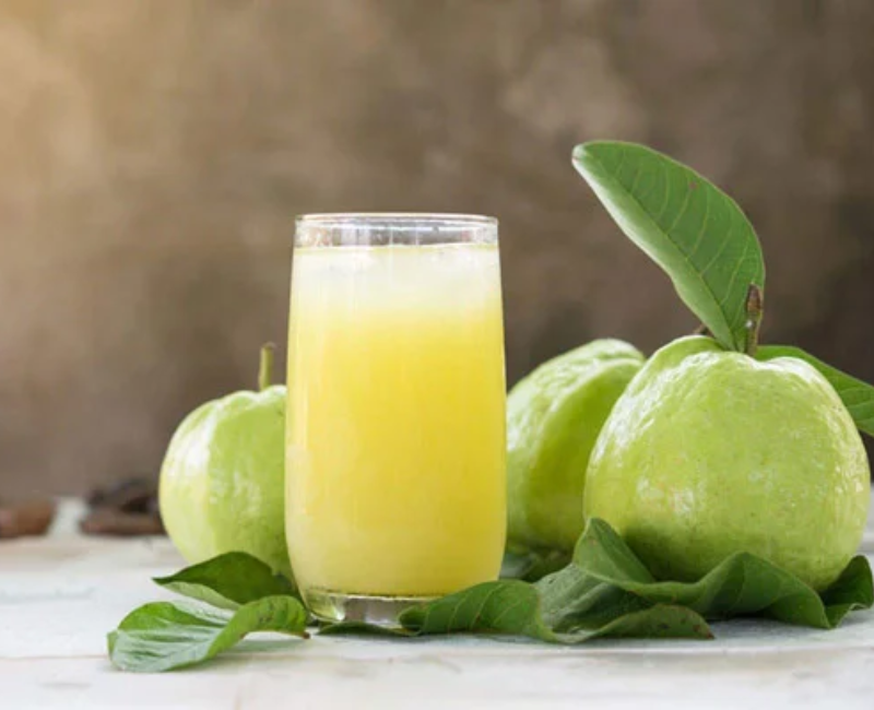 nước ép ổi, vinut nước giải khát